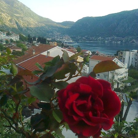 Apartment Aki Kotor Eksteriør bilde