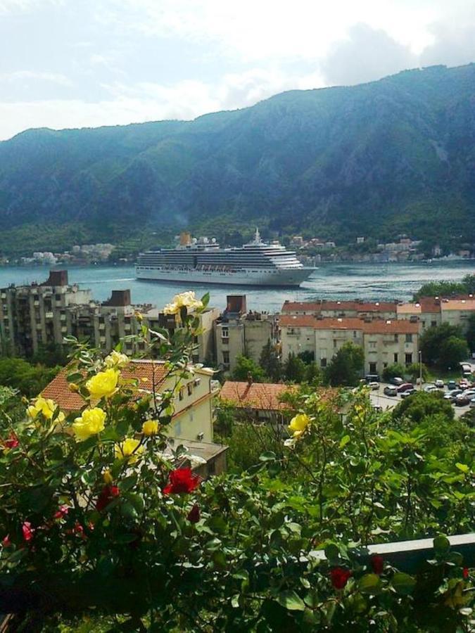 Apartment Aki Kotor Eksteriør bilde