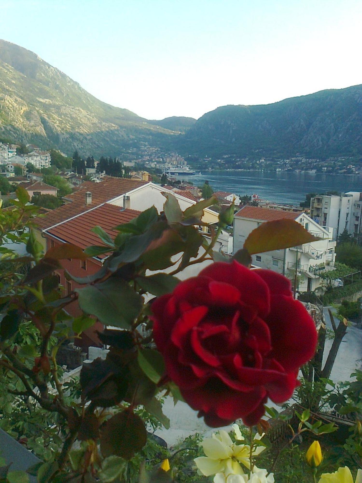 Apartment Aki Kotor Eksteriør bilde